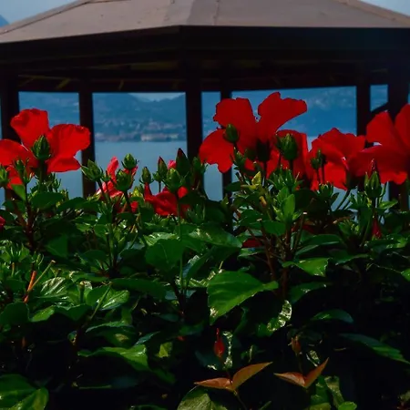 Easy Welcome Perledina - Varenna Perledo